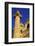 St. Charles Church, Vienna, Austria, Europe-Neil Farrin-Framed Photographic Print