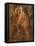 St Christopher, Fresco-Giacomo Jaquerio-Framed Stretched Canvas