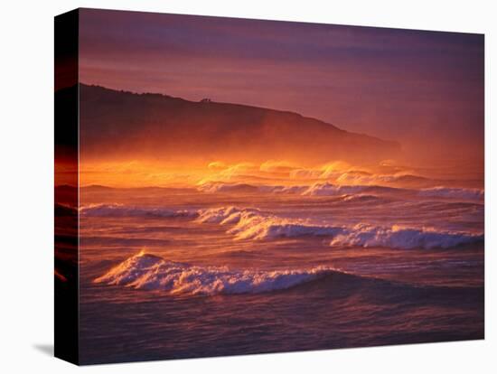 St Clair Beach, Dunedin, New Zealand-David Wall-Stretched Canvas