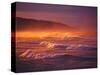 St Clair Beach, Dunedin, New Zealand-David Wall-Stretched Canvas