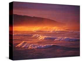 St Clair Beach, Dunedin, New Zealand-David Wall-Stretched Canvas