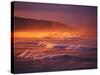 St Clair Beach, Dunedin, New Zealand-David Wall-Stretched Canvas