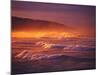 St Clair Beach, Dunedin, New Zealand-David Wall-Mounted Photographic Print