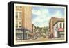 St. Clair Street, Frankfort, Kentucky-null-Framed Stretched Canvas