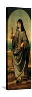 St. Clare-Marco D'oggiono-Stretched Canvas