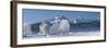 St. Coloman, Tannheimer Mountains, Allgau, Bavaria, Germany-Rainer Mirau-Framed Photographic Print