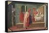 St. Cosmas and St. Damian Caring For a Patient, 15th century-Francesco Pesellino-Framed Stretched Canvas