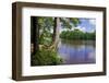 St. Croix River Shoreline-Steven Gaertner-Framed Photographic Print