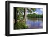 St. Croix River Shoreline-Steven Gaertner-Framed Photographic Print