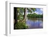 St. Croix River Shoreline-Steven Gaertner-Framed Photographic Print