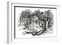 White Frame