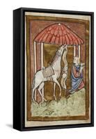 St. Cuthbert's Horse Pulls Down Bread and Meat-Bede-Framed Stretched Canvas