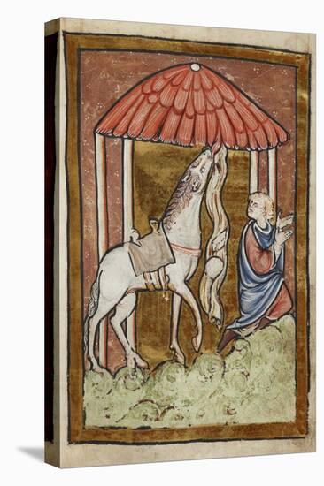 St. Cuthbert's Horse Pulls Down Bread and Meat-Bede-Stretched Canvas