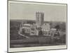 St David's Cathedral-null-Mounted Giclee Print