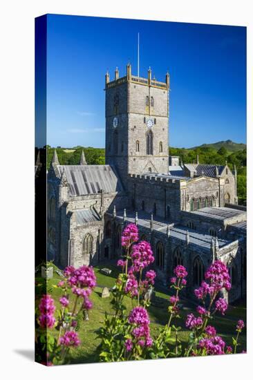 St. Davids Cathedral, Pembrokeshire, Wales, United Kingdom-Billy Stock-Stretched Canvas
