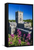 St. Davids Cathedral, Pembrokeshire, Wales, United Kingdom-Billy Stock-Framed Stretched Canvas