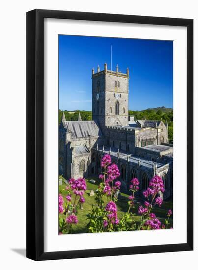 St. Davids Cathedral, Pembrokeshire, Wales, United Kingdom-Billy Stock-Framed Photographic Print