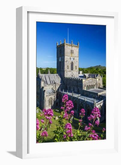 St. Davids Cathedral, Pembrokeshire, Wales, United Kingdom-Billy Stock-Framed Photographic Print