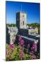 St. Davids Cathedral, Pembrokeshire, Wales, United Kingdom-Billy Stock-Mounted Photographic Print