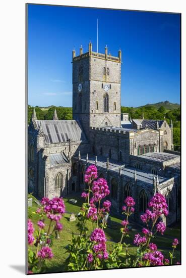 St. Davids Cathedral, Pembrokeshire, Wales, United Kingdom-Billy Stock-Mounted Photographic Print