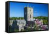 St. Davids Cathedral, Pembrokeshire, Wales, United Kingdom-Billy Stock-Framed Stretched Canvas