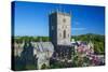 St. Davids Cathedral, Pembrokeshire, Wales, United Kingdom-Billy Stock-Stretched Canvas