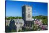 St. Davids Cathedral, Pembrokeshire, Wales, United Kingdom-Billy Stock-Stretched Canvas