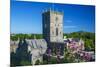 St. Davids Cathedral, Pembrokeshire, Wales, United Kingdom-Billy Stock-Mounted Photographic Print