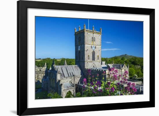 St. Davids Cathedral, Pembrokeshire, Wales, United Kingdom-Billy Stock-Framed Photographic Print