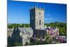 St. Davids Cathedral, Pembrokeshire, Wales, United Kingdom-Billy Stock-Mounted Photographic Print