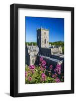 St. Davids Cathedral, Pembrokeshire, Wales, United Kingdom-Billy Stock-Framed Photographic Print