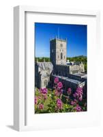 St. Davids Cathedral, Pembrokeshire, Wales, United Kingdom-Billy Stock-Framed Photographic Print