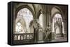 St Denis Paris-null-Framed Stretched Canvas