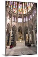 St Denis Paris-null-Mounted Photographic Print