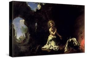 St. Dominic Penitent-Carlo Dolci-Stretched Canvas