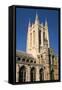 St Edmundsbury Cathedral, Bury St Edmunds, Suffolk-Peter Thompson-Framed Stretched Canvas