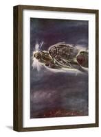 St Elmo's Fire in Air-Hans Liska-Framed Art Print