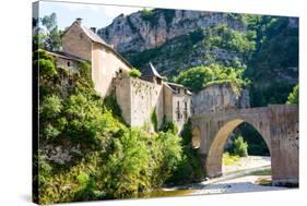 St. Enemie, Gorges Du Tarn, France, Europe-Peter Groenendijk-Stretched Canvas