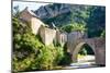 St. Enemie, Gorges Du Tarn, France, Europe-Peter Groenendijk-Mounted Photographic Print