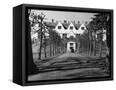 Canvas Black