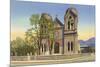 St. Francis Cathedral, Santa Fe, New Mexico-null-Mounted Art Print