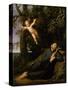St. Francis De Sales (1567-1622) in the Desert, C.1700-10-Marco Antonio Franceschini-Stretched Canvas