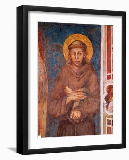 St. Francis (Detail)-Cimabue-Framed Giclee Print
