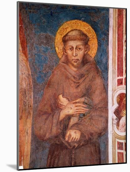 St. Francis (Detail)-Cimabue-Mounted Giclee Print