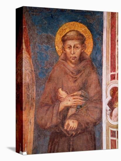 St. Francis (Detail)-Cimabue-Stretched Canvas