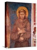 St. Francis (Detail)-Cimabue-Stretched Canvas