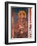 St. Francis (Detail)-Cimabue-Framed Giclee Print