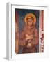 St. Francis (Detail)-Cimabue-Framed Premium Giclee Print
