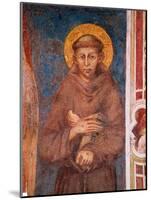 St. Francis (Detail)-Cimabue-Mounted Premium Giclee Print