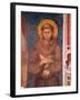 St. Francis (Detail)-Cimabue-Framed Giclee Print